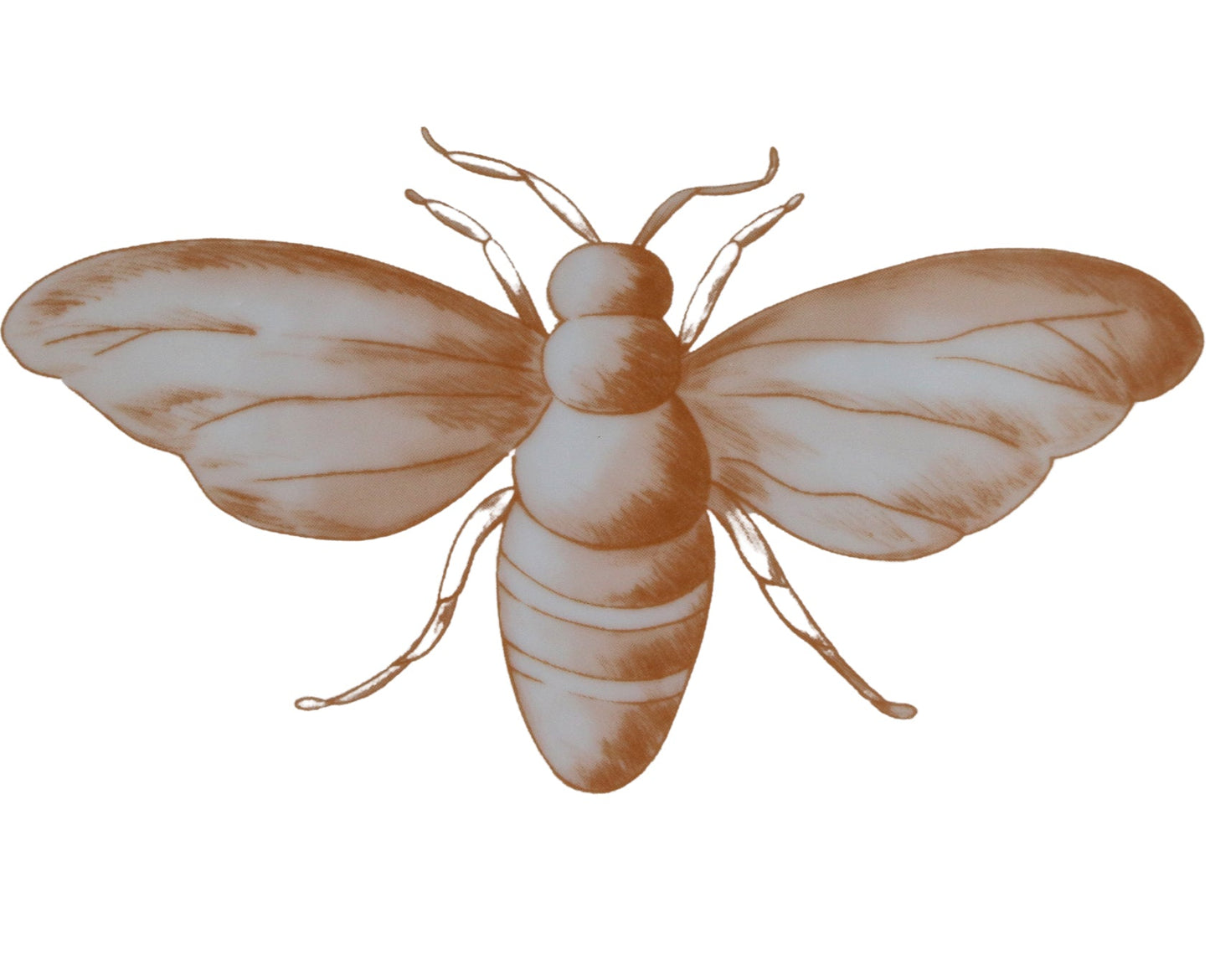 Bumble Homecoming Scalloped Starter Plate - Set of 4