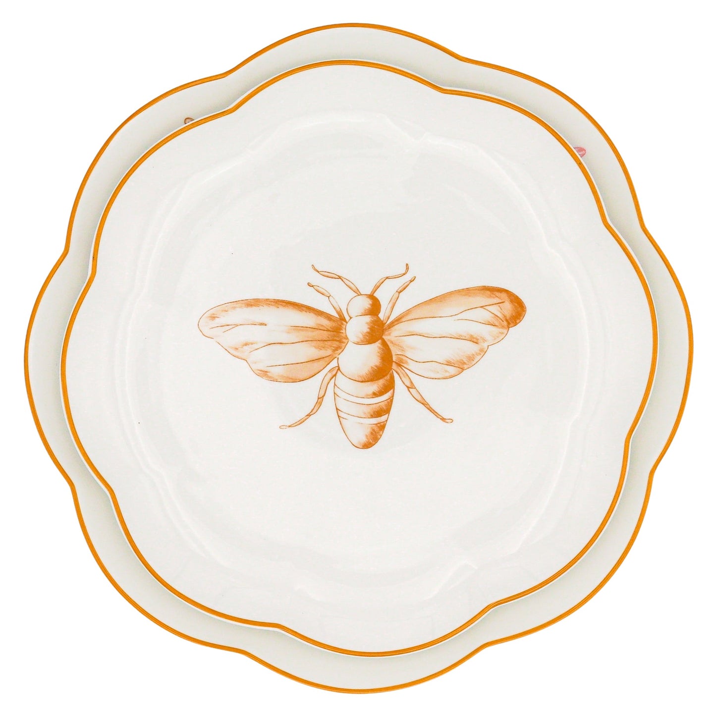 Bumble Voyage Scalloped Dinner Plate - Case of 12 Plates