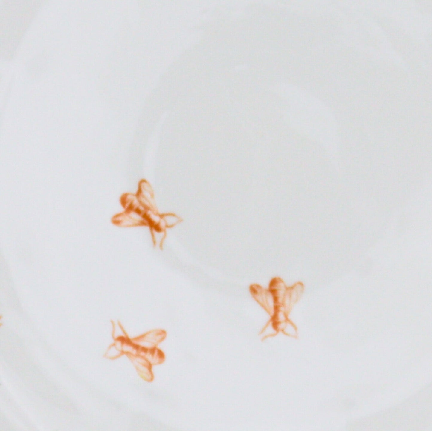 Bumble Voyage Scalloped Dinner Plate - Case of 12 Plates