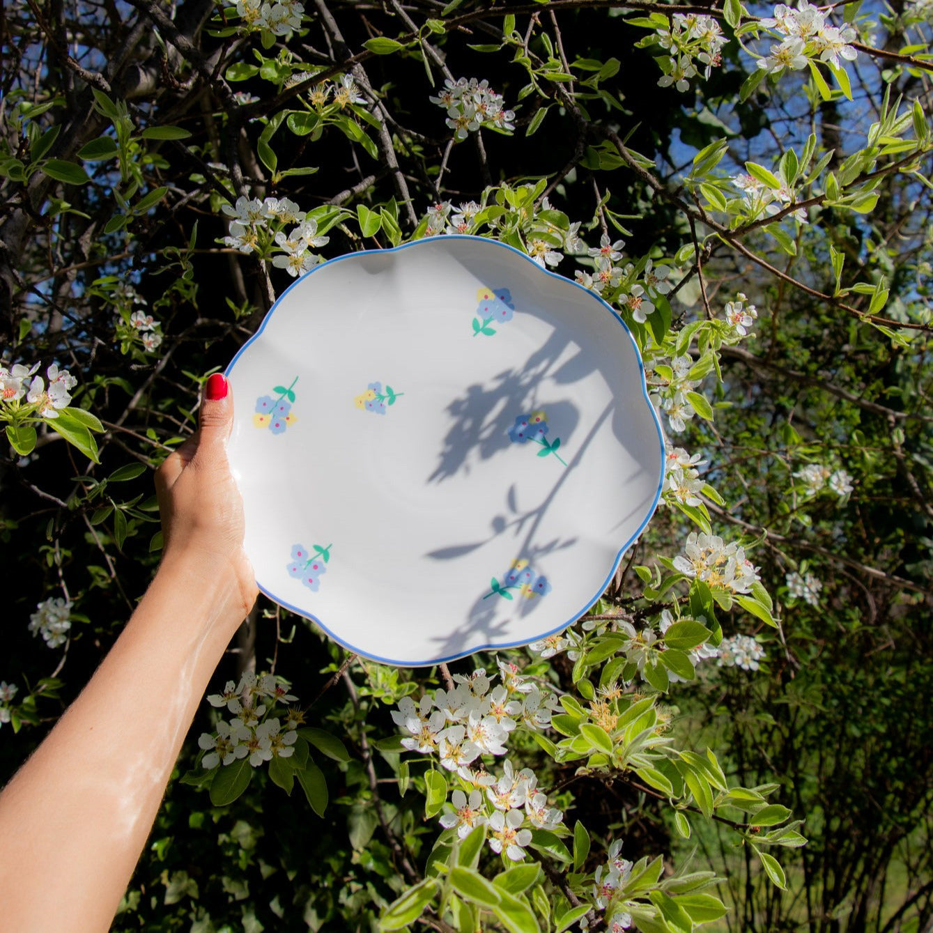 Meadow Flora Dinner Plate - Case of 12 Plates