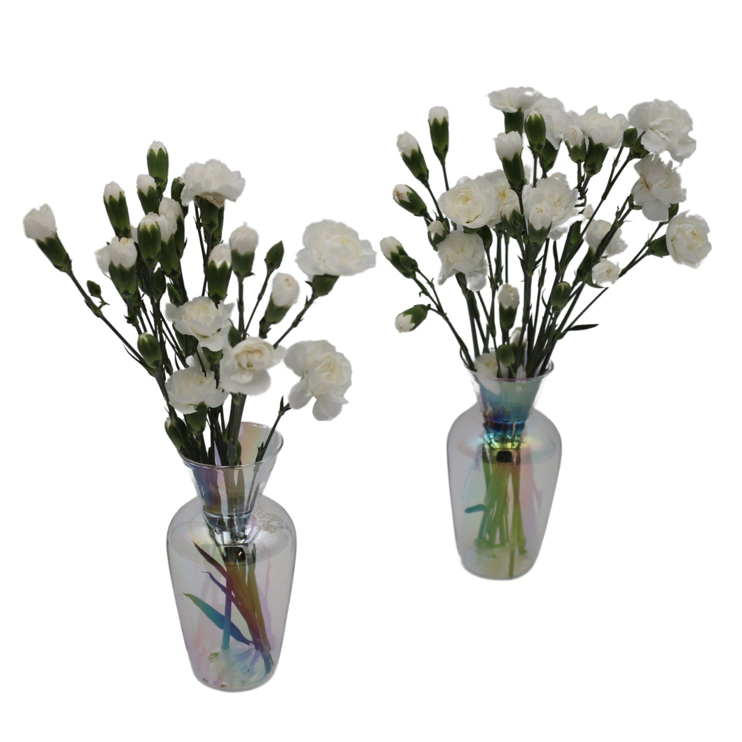 Rainbow Prism Vase - Pair